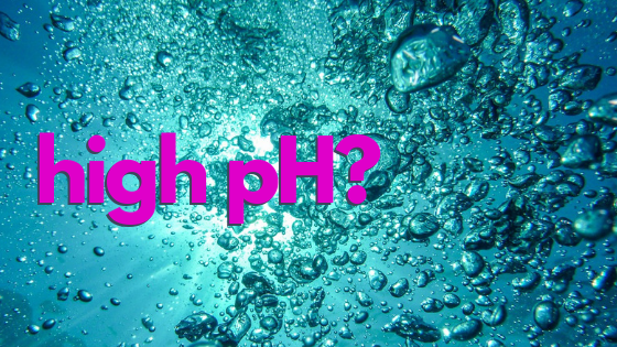 what-causes-a-high-ph-in-a-swimming-pool